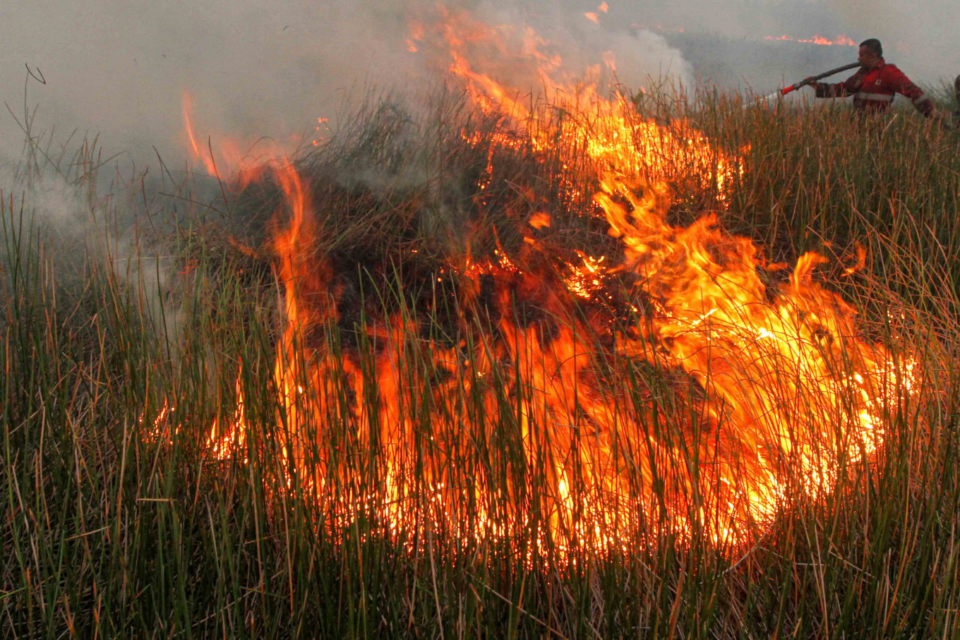 Haze for Malaysia soon?